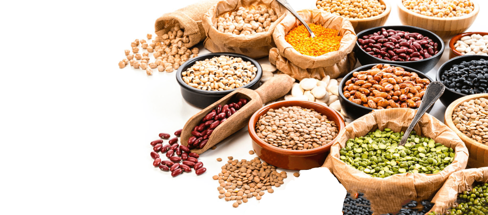 Variety of pulses, legumes and grains in bowls and sacks